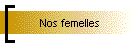 Nos femelles