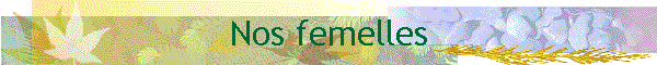 Nos femelles