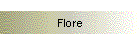 Flore