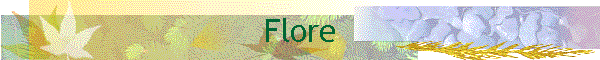 Flore