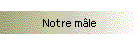 Notre m�le