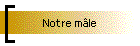 Notre m�le